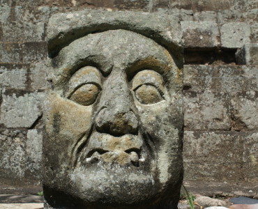 SONY DSC