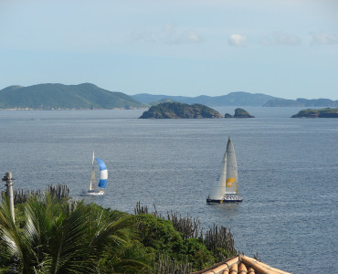 Island Tour