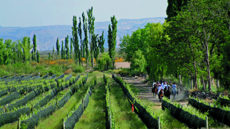 Winery Tour