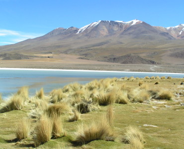 Uyuni