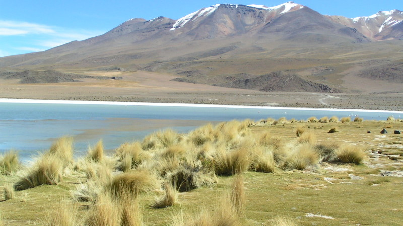 Uyuni